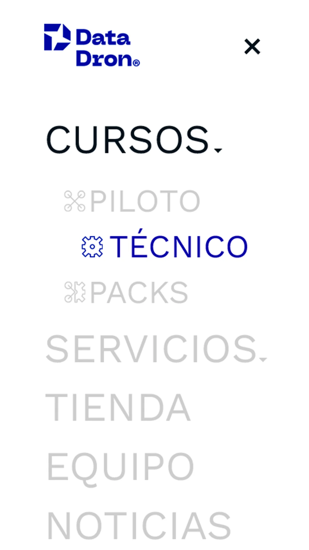 Imagen del proyecto de branding tecnológico Datadron – captura 21