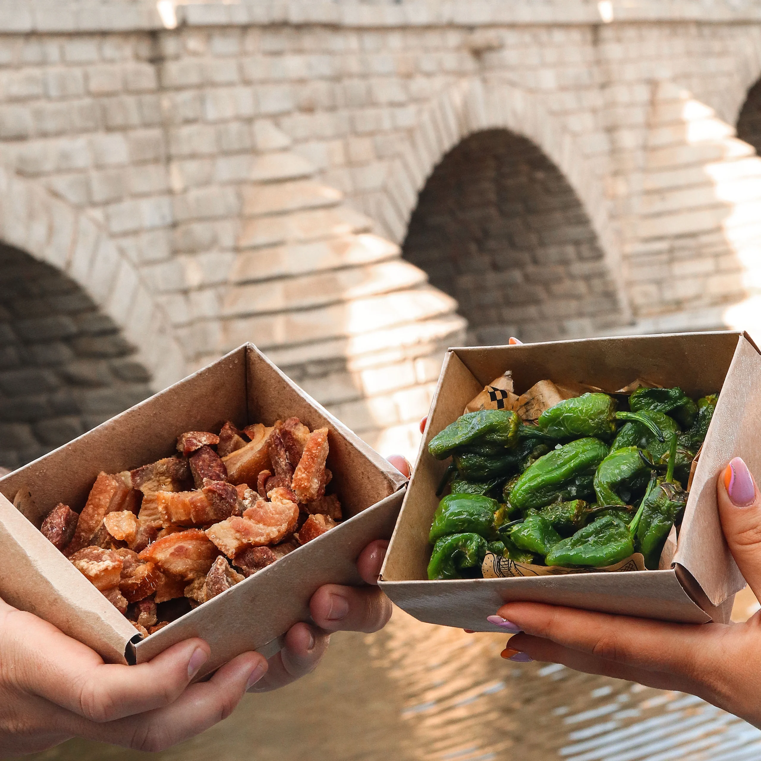 Ilustración de PUENTE SEGOVIA para el gastrojuego de fidelización de Casa Dani